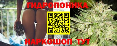 прущие грибы Ливны