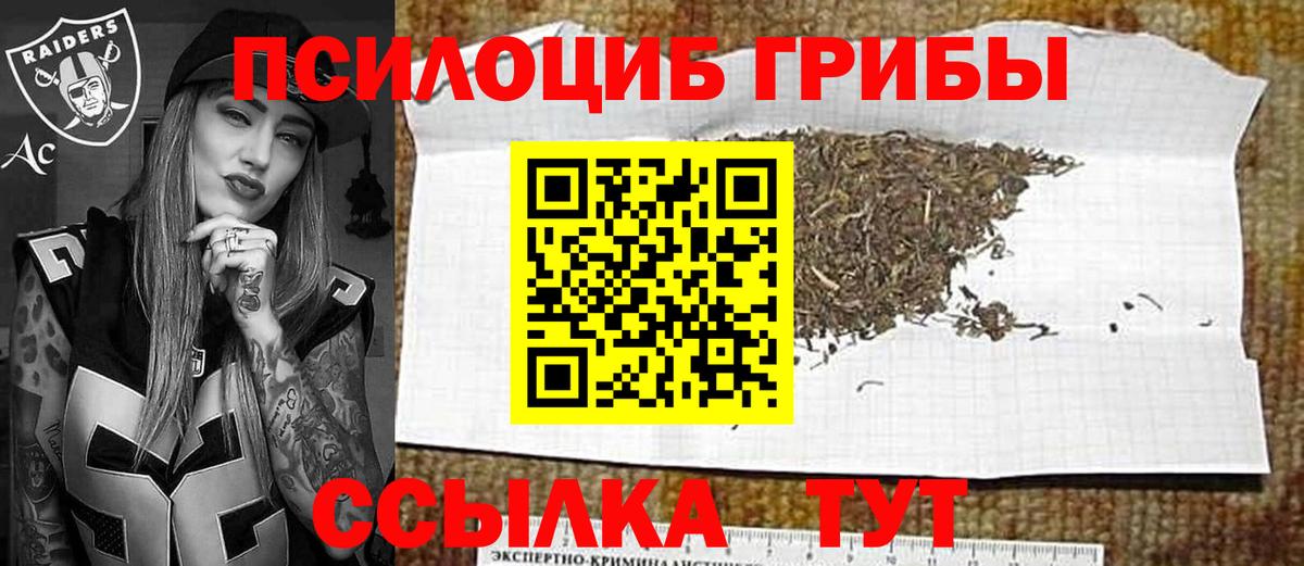 Удомля  Галлюциногенные грибы GOLDEN TEACHER  Вход с VPN  Галлюциногенные грибы ЛСД 